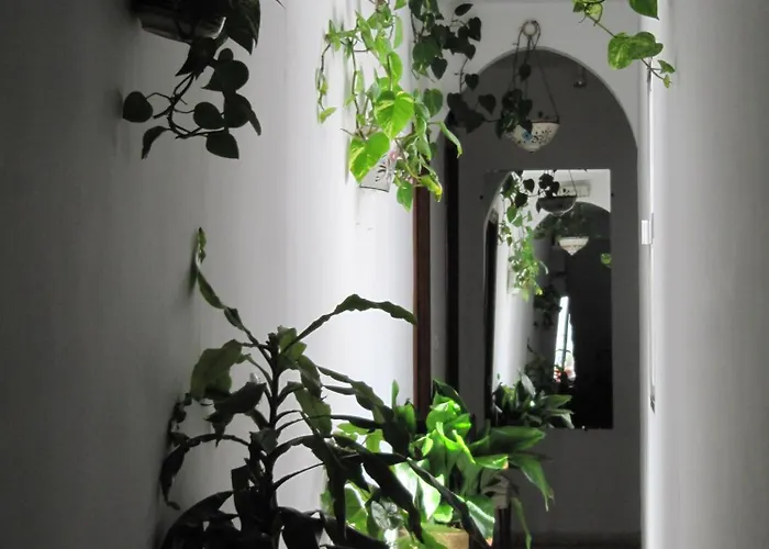 La Pilarica Marbella