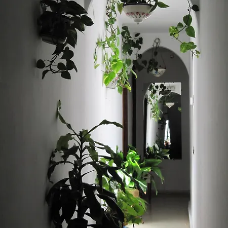 La Pilarica Marbella